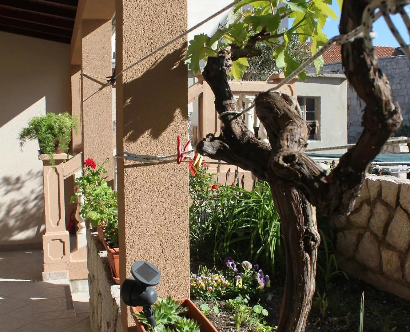 פג Terrace Apartment Beba - Pag 0*,  קרואטיה