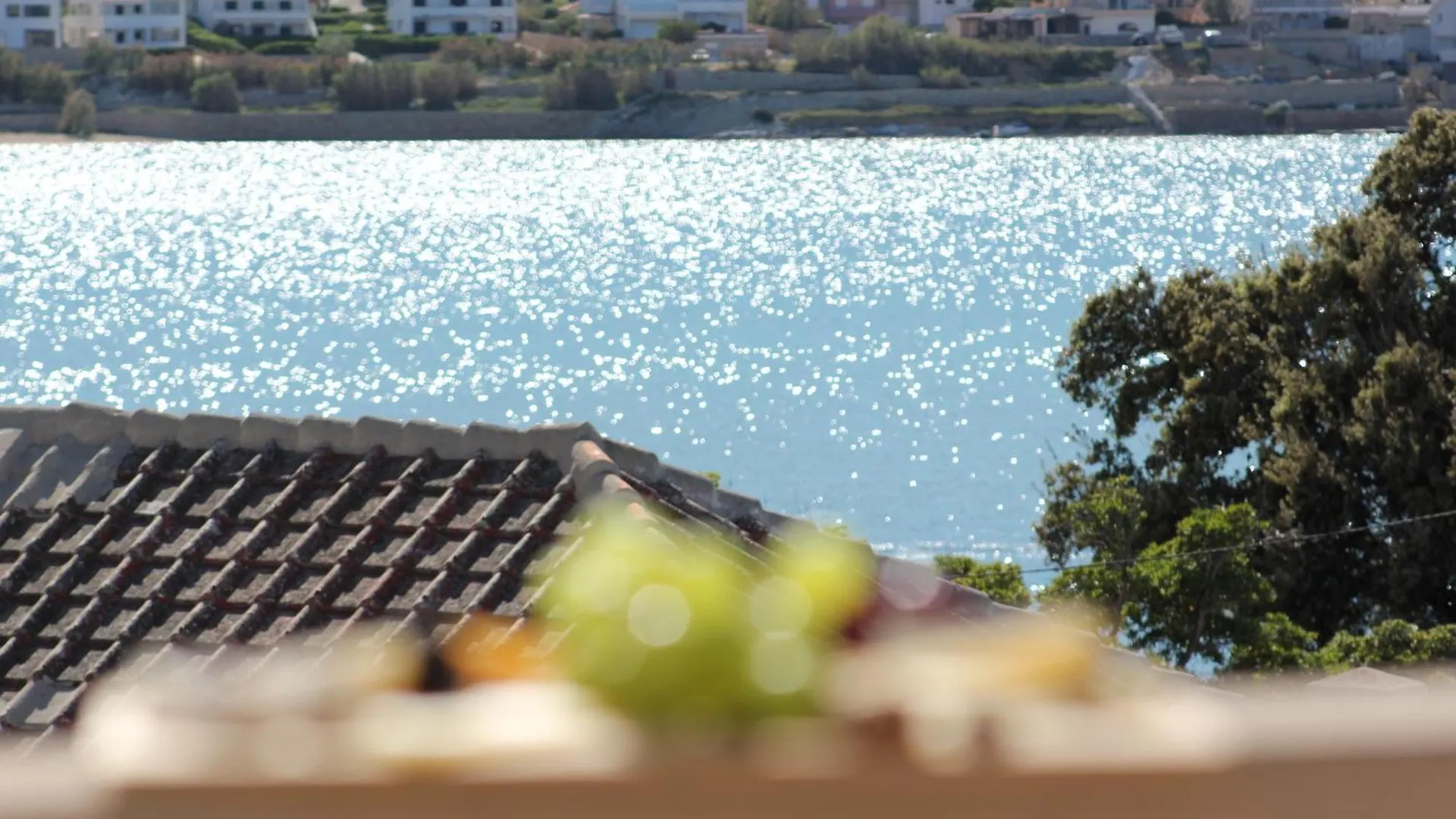 Kontakte von Terrace Apartment Beba - Pag