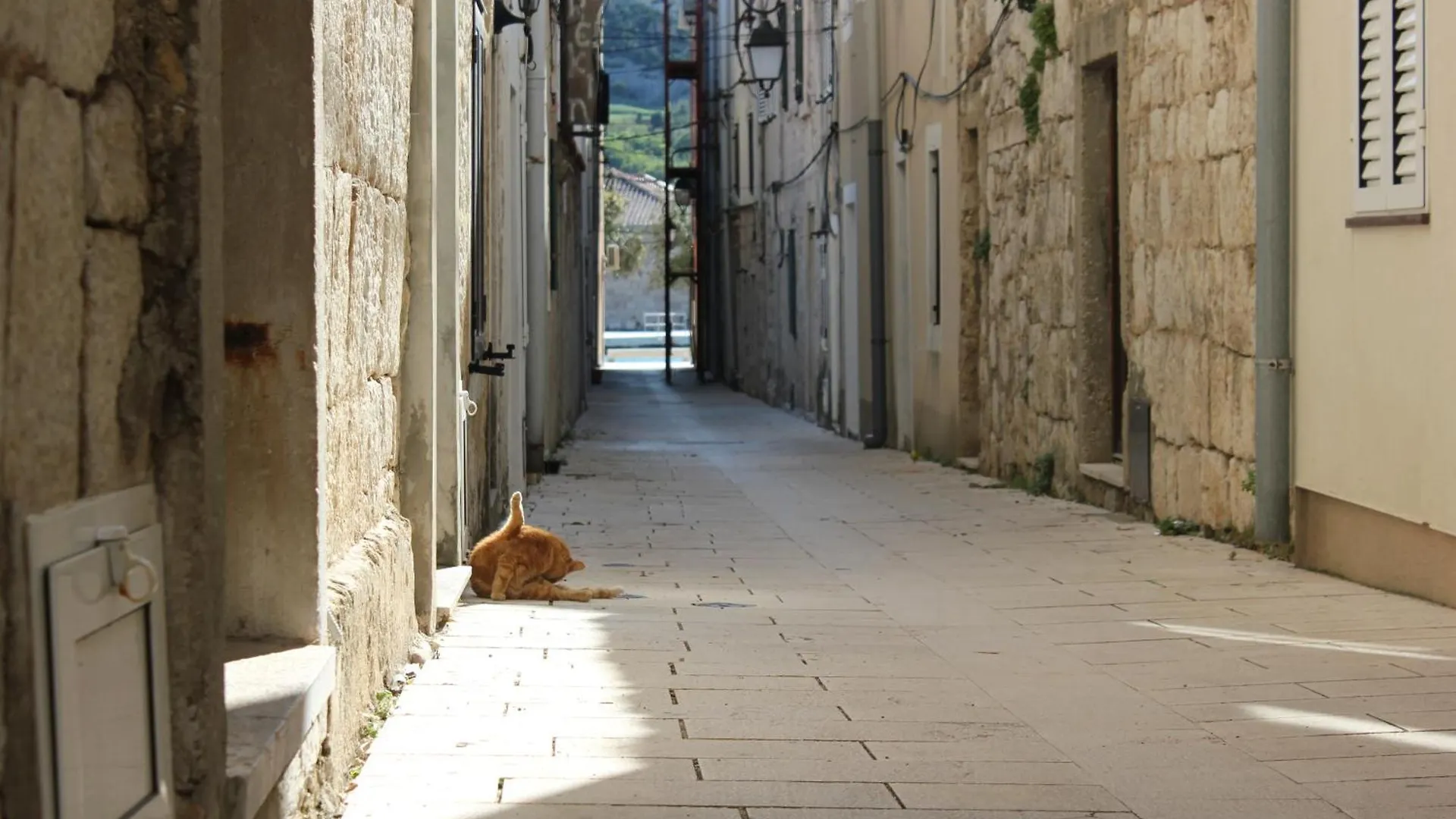 Terrace Apartment Beba - Pag Pag Town
